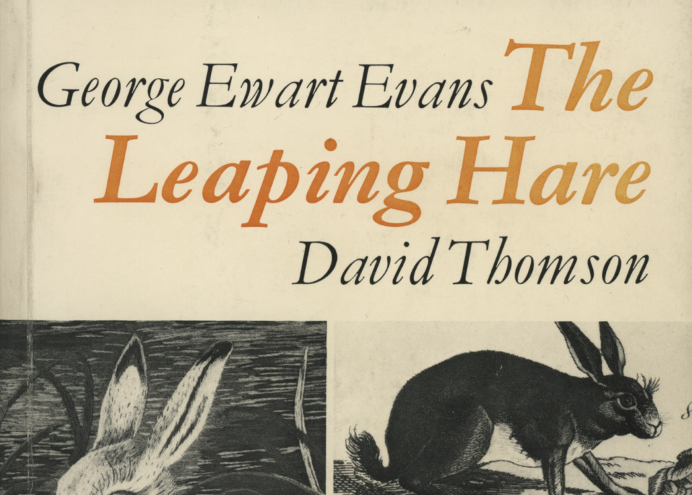 The <em class="algolia-search-highlight">Leap</em>ing Hare